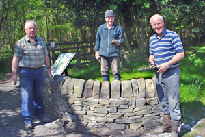 Dry Stone Dykers