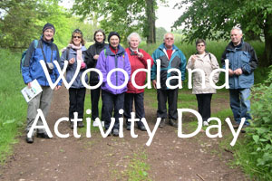 Woodland Activity Day
