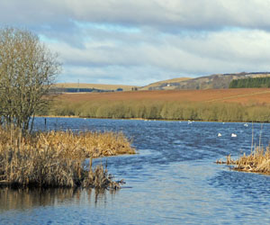 Kinnordy Loch